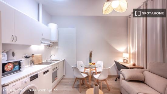 Apartamento de 1 dormitorio en alquiler en Lavapiés - MADRID