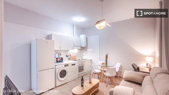 Apartamento de 1 dormitorio en alquiler en Lavapiés - MADRID