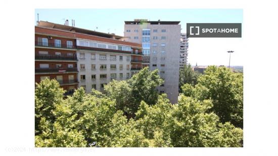 Alquiler de habitaciones en piso de 8 dormitorios en Vallehermoso - MADRID