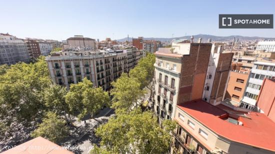 Se alquilan habitaciones en apartamento de 11 habitaciones en El Raval - BARCELONA