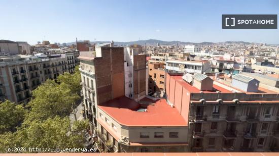 Se alquilan habitaciones en apartamento de 11 habitaciones en El Raval - BARCELONA