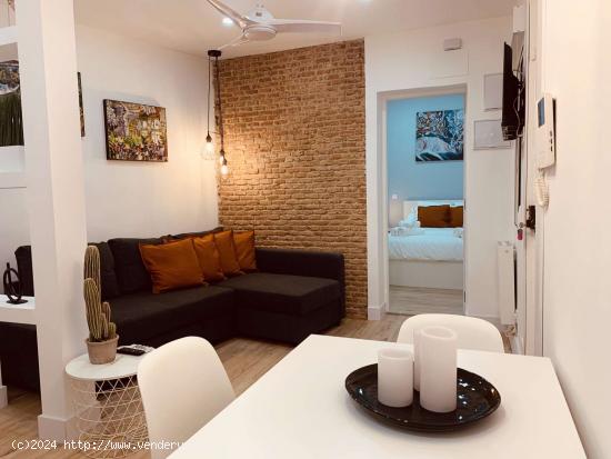  apartamento de 1 dormitorio en alquiler en Lavapiés, Madrid - MADRID 