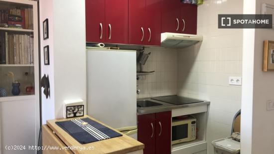 Apartamento entero de 1 habitaciones en Madrid - MADRID