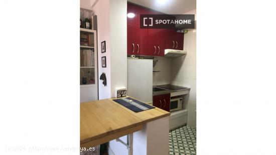 Apartamento entero de 1 habitaciones en Madrid - MADRID