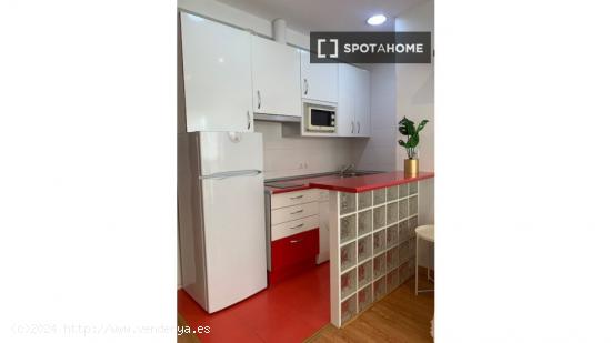 Apartamento entero de 1 habitaciones en Madrid - MADRID