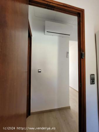  Se alquila habitación en piso compartido de 6 habitaciones en Murcia - MURCIA 