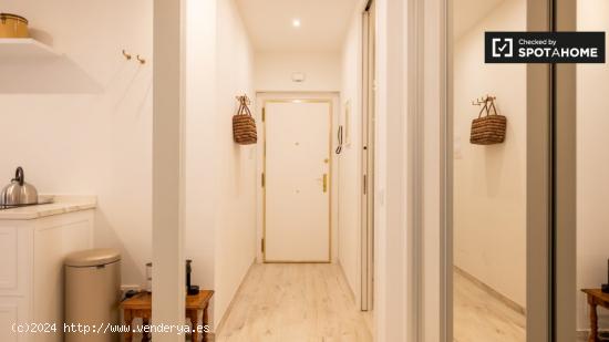 Amplio apartamento de 1 dormitorio en alquiler en Lavapiés, Madrid - MADRID