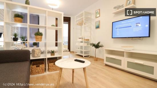 Estudio en Alicante (Alacant) - ALICANTE