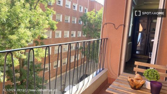 Apartamento de 3 habitaciones en alquiler en Madrid - MADRID