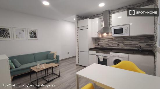 Apartamento de 1 dormitorio en alquiler en Madrid - MADRID