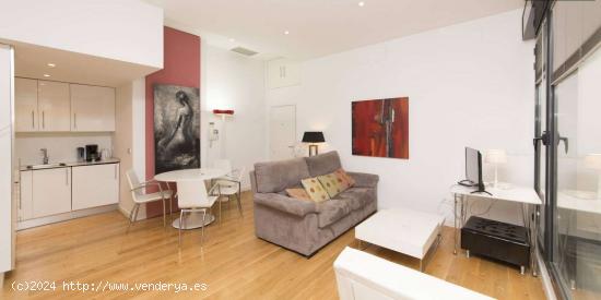  Apartamento entero de 1 habitaciones en Madrid - MADRID 