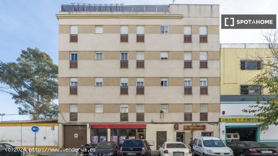 Apartamento entero de 3 dormitorios en Sevilla - SEVILLA