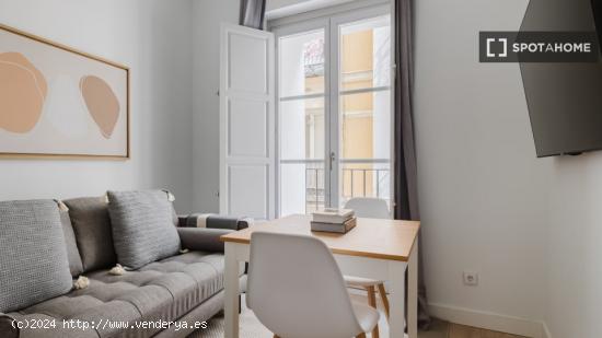 Apartamento de 1 dormitorio en alquiler en Madrid - MADRID