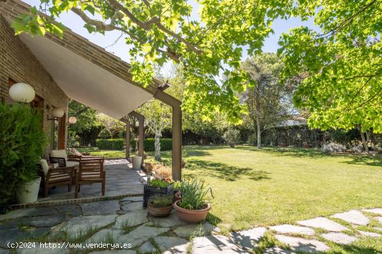  ¡Descubre tu oasis de tranquilidad en la urbanización el Zorongo de Zaragoza! - ZARAGOZA 