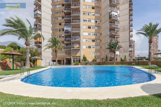 PRECIOSO PISO EN ZONA PONIENTE (SE VENDE CON INQUILINOS) - ALICANTE