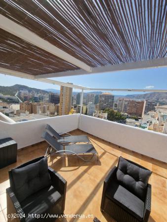 Reformado apartamento con gran terraza y vistas panorámicas en zona playa Poniente. - ALICANTE