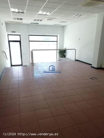 Local en Venta o Alquiler - CADIZ