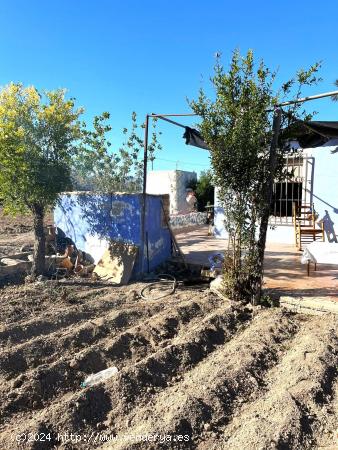  ++Dos terrenos con casa de aperos de 20 m² en Alguazas++ - MURCIA 