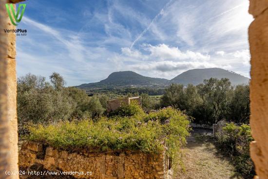 Encantadora finca rústica en Randa - BALEARES