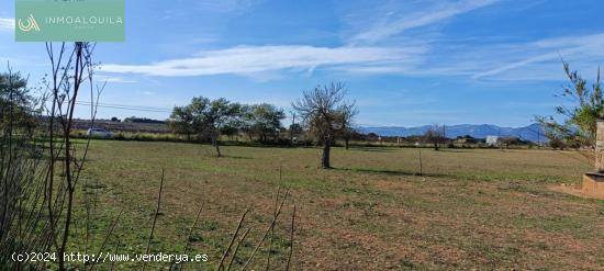 Venta Terreno 50000 m2 Palma de Mallorca - BALEARES