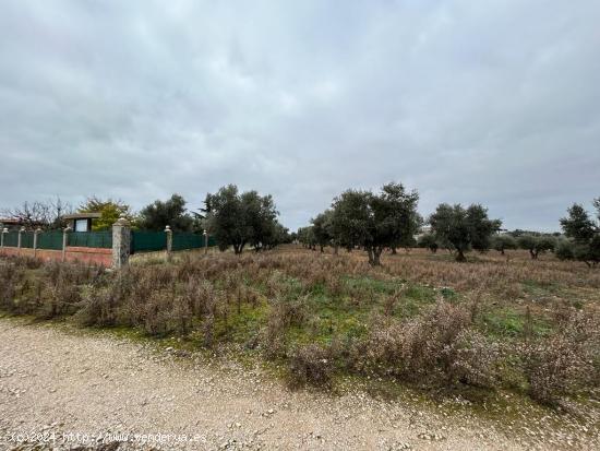 TERRENO RUSTICO EN PERALES DE TAJUÑA. - MADRID