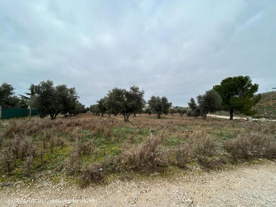 TERRENO RUSTICO EN PERALES DE TAJUÑA. - MADRID