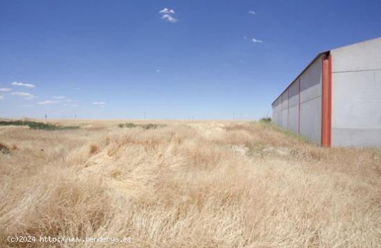 NAVE Y TERRENO RUSTICO EN PARADINAS DE SAN JUAN - SALAMANCA