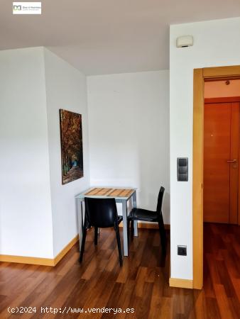 APARTAMENTO  DE 1 DORMITORIO  EN LA CHANTRIA - LEON