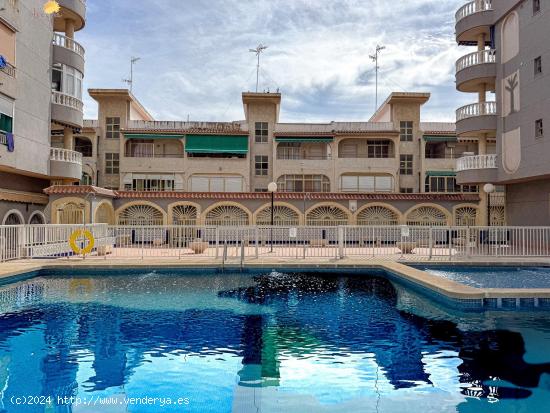  Acogedor apartamento con enorme piscina comunitaria a 250 metros de la playa - ALICANTE 