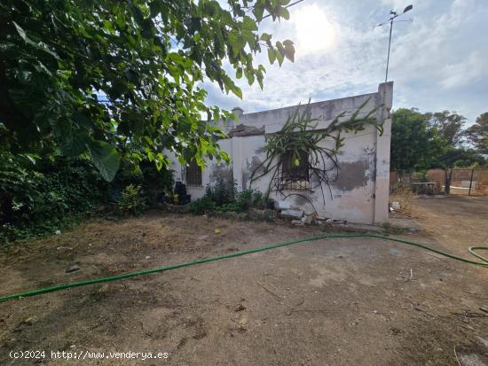 OPORTUNIDAD EN EL ALMENDRAL - CADIZ