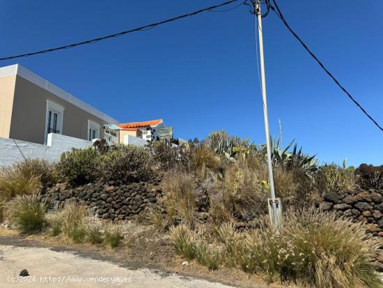 SOLAR URBANO EN TAFIRA(LOS HOYOS) - LAS PALMAS