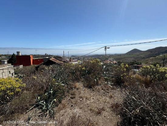 SOLAR URBANO EN TAFIRA(LOS HOYOS) - LAS PALMAS