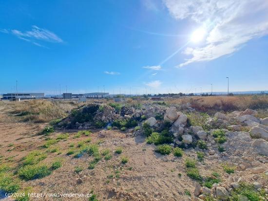 TERRENO INDUSTRIAL EN VENTA EN POLIGONO EL PLA (ALZIRA) - VALENCIA