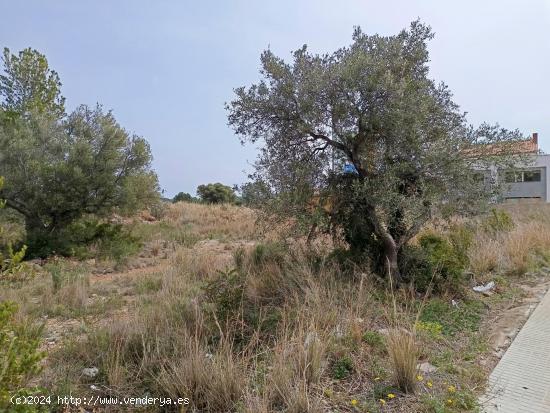 Parcelas en venta en L'Hospitalet de l'Infant - TARRAGONA