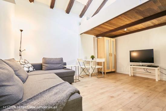  Apartamento de 1 dormitorio en alquiler en Trafalgar - MADRID 