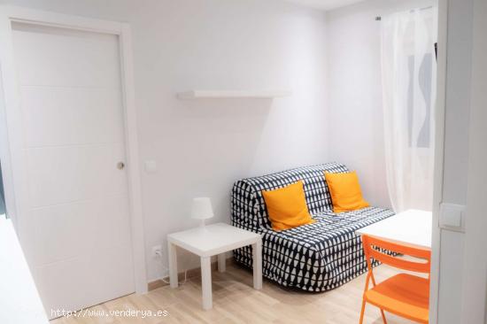  Apartamento de 1 dormitorio en alquiler en Trafalgar - MADRID 