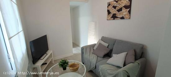  Apartamento de 1 dormitorio en alquiler en Prosperidad - MADRID 