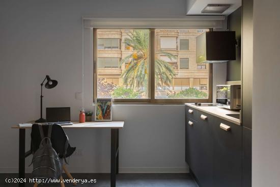  Apartamento tipo estudio en alquiler en La Bega Baixa - VALENCIA 