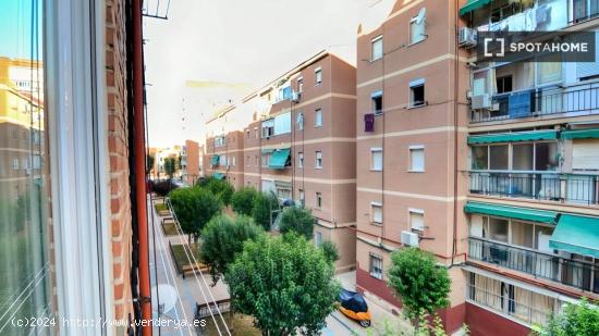 Se alquila habitación en piso compartido en Madrid - MADRID