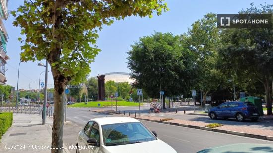 Se alquila habitación en apartamento de 4 dormitorios en Leganés, Madrid. - MADRID