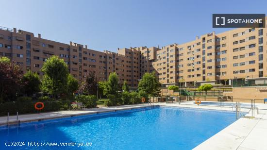 Apartamento de 4 dormitorios en alquiler en Vicálvaro, Madrid - MADRID