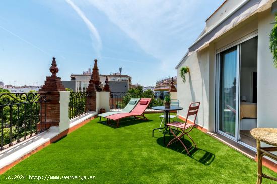  Apartamento estudio en alquiler en Triana, Sevilla - SEVILLA 