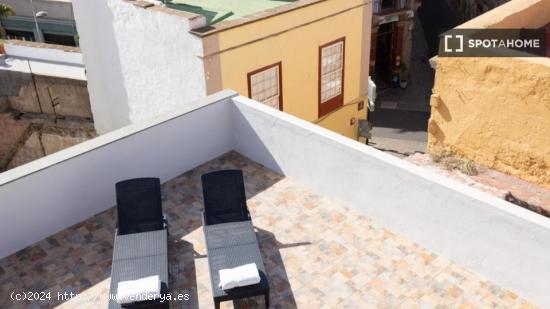 Apartamento de 1 dormitorio en alquiler en Zona Centro - SANTA CRUZ DE TENERIFE