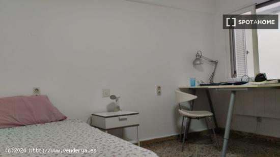 Habitación en piso compartido en Palma - BALEARES