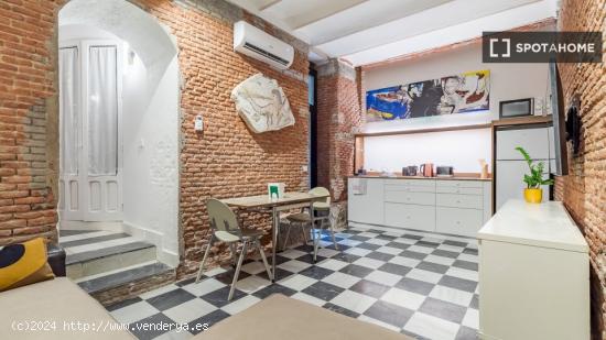 Apartamento entero de 1 habitaciones en Madrid - MADRID