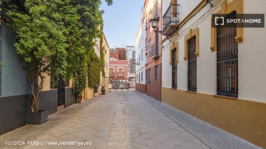 Estudio en Sevilla - SEVILLA