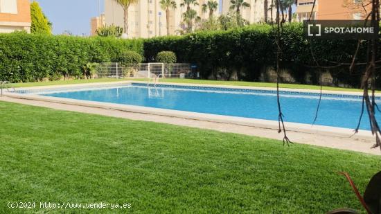 Piso completo de 1 dormitorio en Alicante (Alacant) - ALICANTE