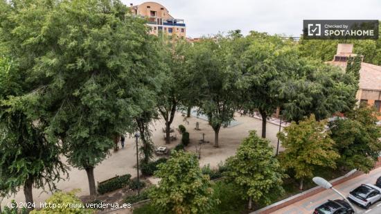 Se alquilan habitaciones en un apartamento de 4 dormitorios en Getafe - MADRID