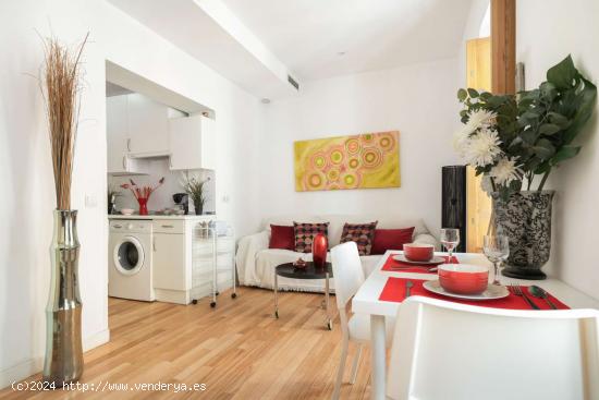  Apartamento de 1 dormitorio en alquiler en Puerta del Ángel, Madrid - MADRID 