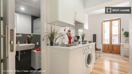 Apartamento de 1 dormitorio en alquiler en Puerta del Ángel, Madrid - MADRID